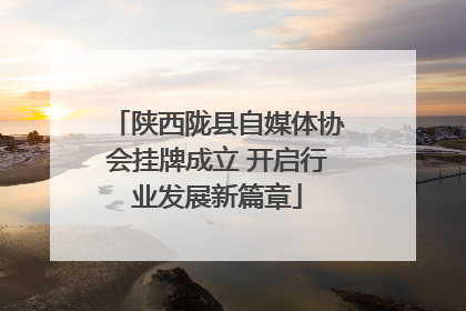 陕西陇县自媒体协会挂牌成立 开启行业发展新篇章