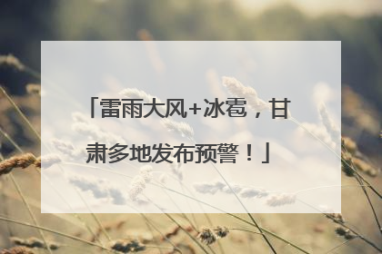 雷雨大风+冰雹，甘肃多地发布预警！