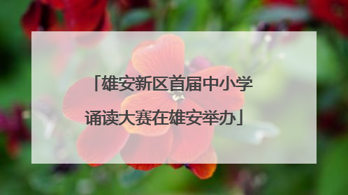 雄安新区首届中小学诵读大赛在雄安举办