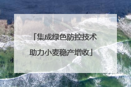 集成绿色防控技术助力小麦稳产增收