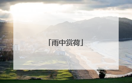 雨中赏荷