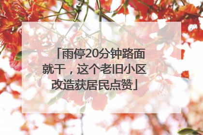 雨停20分钟路面就干，这个老旧小区改造获居民点赞