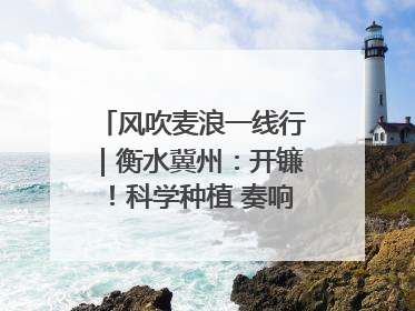 风吹麦浪一线行｜衡水冀州：开镰！科学种植 奏响丰收序曲