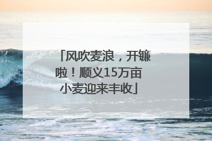 风吹麦浪，开镰啦！顺义15万亩小麦迎来丰收