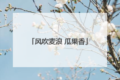 风吹麦浪 瓜果香
