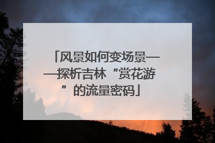 风景如何变场景——探析吉林“赏花游”的流量密码