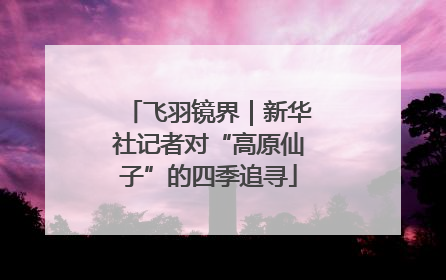 飞羽镜界｜新华社记者对“高原仙子”的四季追寻