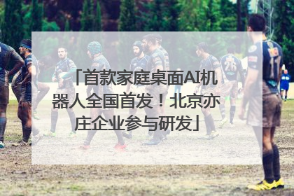 首款家庭桌面AI机器人全国首发！北京亦庄企业参与研发
