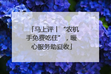 马上评丨“农机手免费吃住”，暖心服务助夏收