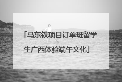 马东铁项目订单班留学生广西体验端午文化