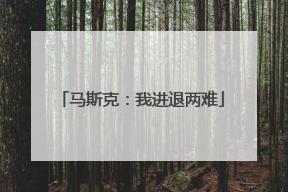 马斯克：我进退两难