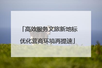 高效服务文旅新地标 优化营商环境再提速