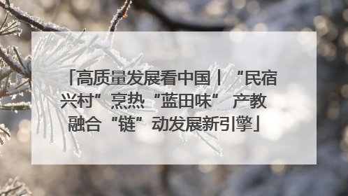 高质量发展看中国丨“民宿兴村”烹热“蓝田味” 产教融合“链”动发展新引擎