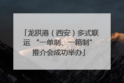 龙拱港（西安）多式联运 “一单制、一箱制” 推介会成功举办