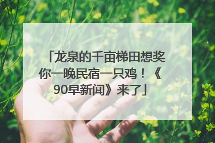 龙泉的千亩梯田想奖你一晚民宿一只鸡！《90早新闻》来了
