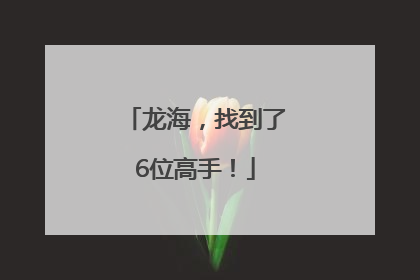 龙海，找到了6位高手！