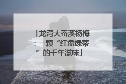龙湾大岙溪杨梅：一颗“红盘绿蒂”的千年滋味