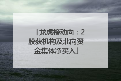龙虎榜动向：2股获机构及北向资金集体净买入