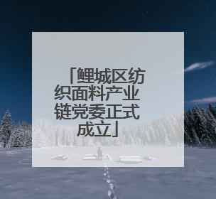 鲤城区纺织面料产业链党委正式成立
