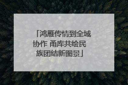 鸿雁传情到全域协作 甬库共绘民族团结新图景