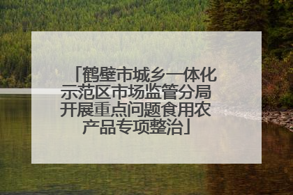 鹤壁市城乡一体化示范区市场监管分局开展重点问题食用农产品专项整治
