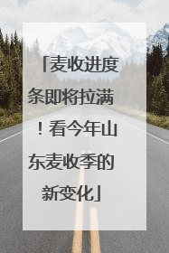 麦收进度条即将拉满！看今年山东麦收季的新变化