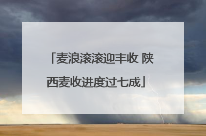 麦浪滚滚迎丰收 陕西麦收进度过七成