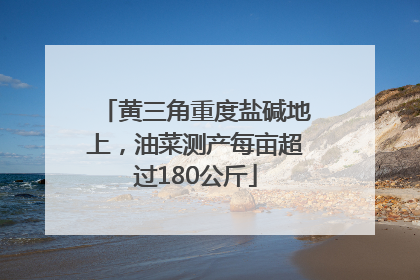 黄三角重度盐碱地上，油菜测产每亩超过180公斤