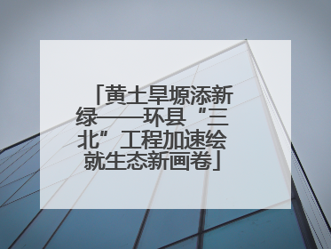 黄土旱塬添新绿——环县“三北”工程加速绘就生态新画卷