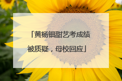 黄杨钿甜艺考成绩被质疑，母校回应