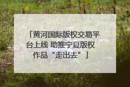 黄河国际版权交易平台上线 助推宁夏版权作品“走出去”