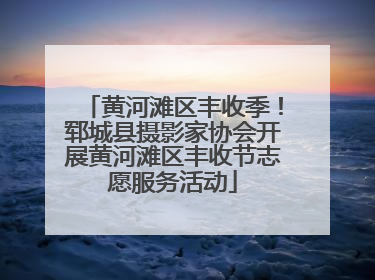黄河滩区丰收季！郓城县摄影家协会开展黄河滩区丰收节志愿服务活动