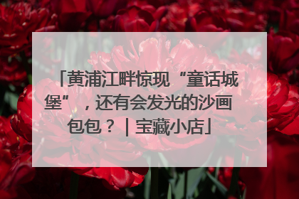 黄浦江畔惊现“童话城堡”，还有会发光的沙画包包？｜宝藏小店