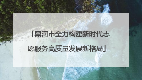 黑河市全力构建新时代志愿服务高质量发展新格局