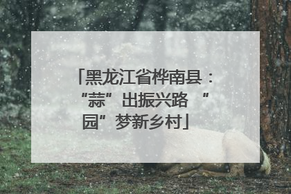 黑龙江省桦南县：“蒜”出振兴路 “园”梦新乡村