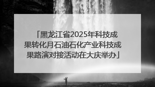 黑龙江省2025年科技成果转化月石油石化产业科技成果路演对接活动在大庆举办
