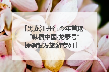 黑龙江开行今年首趟“纵横中国·龙泰号”援疆银发旅游专列