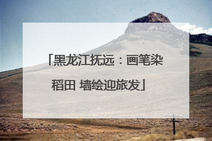 黑龙江抚远：画笔染稻田 墙绘迎旅发