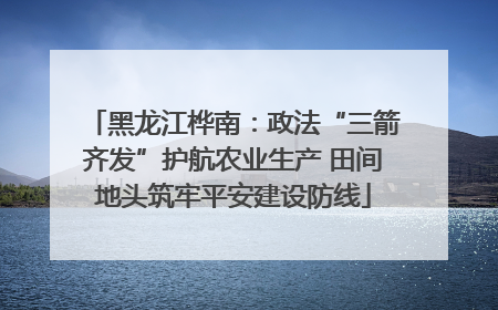 黑龙江桦南：政法“三箭齐发”护航农业生产 田间地头筑牢平安建设防线