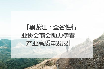 黑龙江：全省性行业协会商会助力伊春产业高质量发展