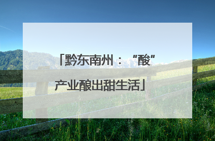黔东南州：“酸”产业酿出甜生活