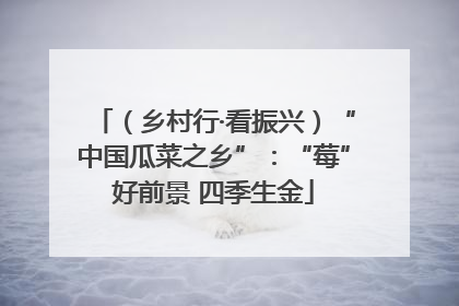 （乡村行·看振兴）“中国瓜菜之乡”：“莓”好前景 四季生金