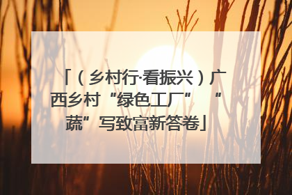 （乡村行·看振兴）广西乡村“绿色工厂” “蔬”写致富新答卷