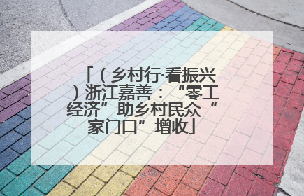 （乡村行·看振兴）浙江嘉善：“零工经济”助乡村民众“家门口”增收