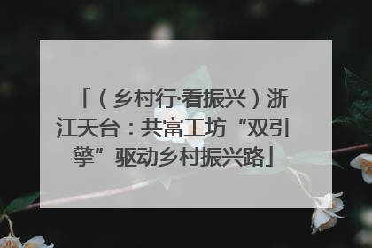 （乡村行·看振兴）浙江天台：共富工坊“双引擎”驱动乡村振兴路