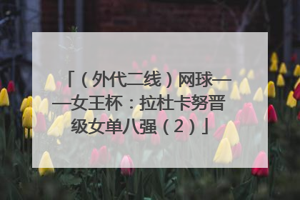 （外代二线）网球——女王杯：拉杜卡努晋级女单八强（2）