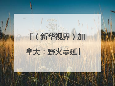 （新华视界）加拿大：野火蔓延