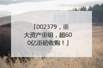 002379，重大资产重组，超600亿重磅收购！