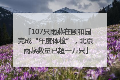 107只雨燕在颐和园完成“年度体检”，北京雨燕数量已超一万只