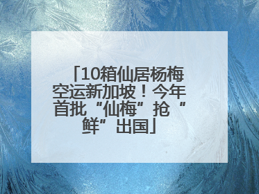 10箱仙居杨梅空运新加坡！今年首批“仙梅”抢“鲜”出国